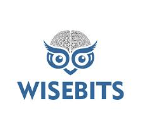 wisebits
